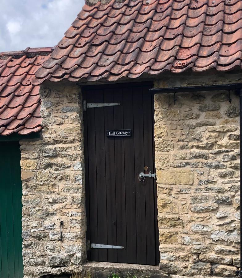 Hill Cottage, Thornton-Le-Dale 손턴 데일 외부 사진